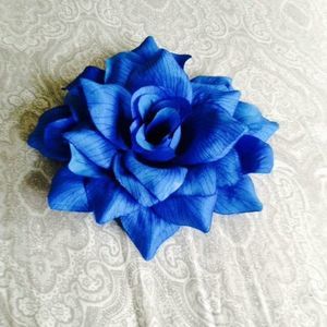 Meet your Posher, Beverly